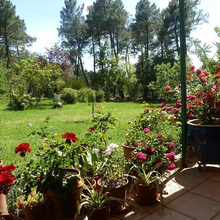 Domaine Du Planas - Patio Villa Ailhon Exteriör bild